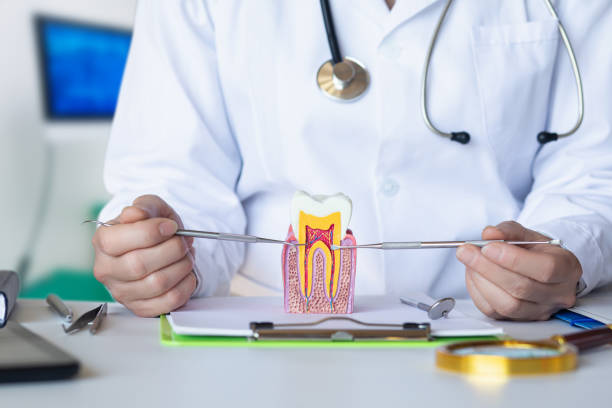 Best Dentist for Tooth Abscess  in Gridley, CA